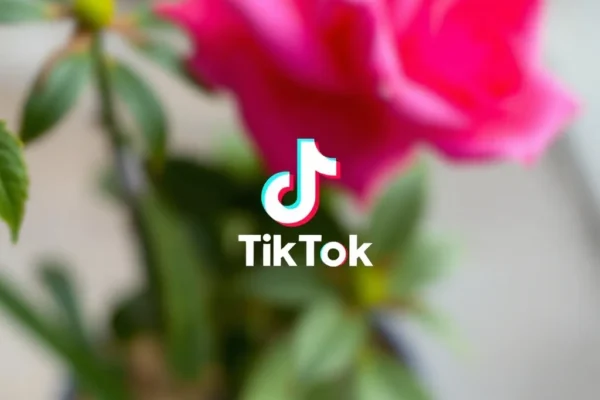 Comment telecharger video tiktok facilement et rapidement